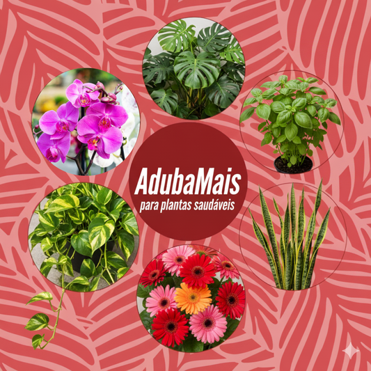 Aduba Mais 30 Palitos - Nutrição Completa